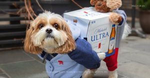 Image post by @AnheuserBusch on Twitter