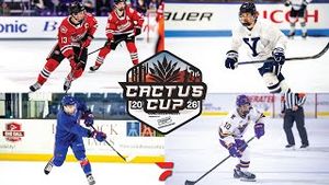 Video post by @flohockey on YouTube