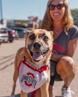 Image post by @ohiostathletics on Instagram