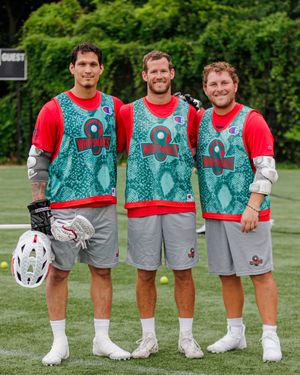 Image post by @PLLWhipsnakes on Twitter