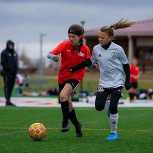 Image post by @kingshammersc on Instagram