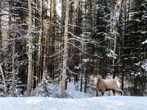 Image post by @mtnorquay on Instagram