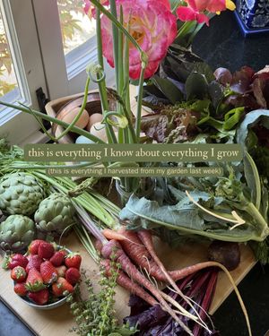 Video post by @carmeninthegarden on TikTok