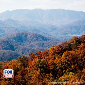 Video post by @foxweather on TikTok