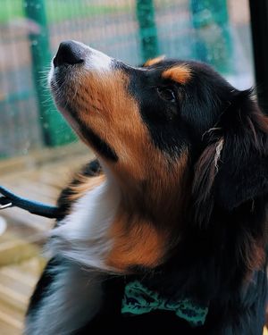 Image post by @zorahannah on Instagram