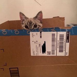 Image post by @amazon on Instagram