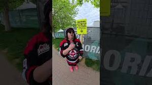 Video post by @leroyandleroy on YouTube