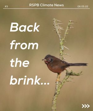 Image post by @rspb on Instagram