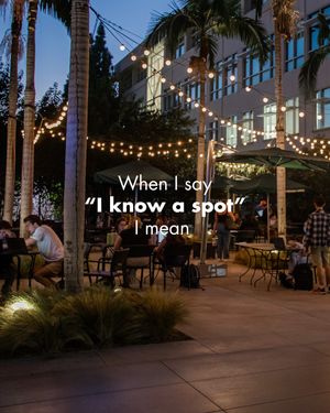 Image post by @chapmanu on Instagram