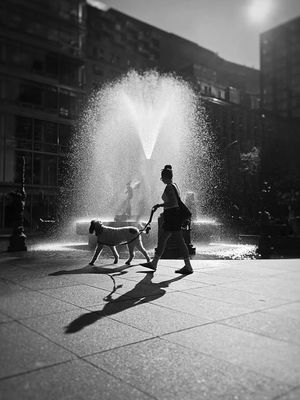 Image post by @mtl_unscripted on Instagram