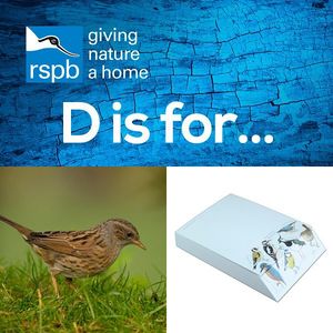 Image post by @rspb on Instagram