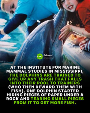 Image post by @science on Instagram