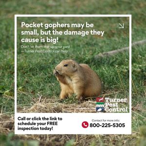 Image post by @TurnerPestControl on Facebook