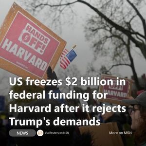 Image post by @msn on Instagram