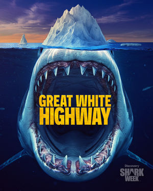 Image post by @sharkweek on Instagram