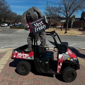 Image post by @bamagymnastics on Instagram