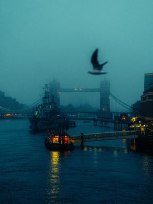 Image post by @moment on Instagram