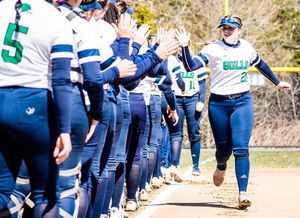 Image post by @endicottsoftball on Instagram