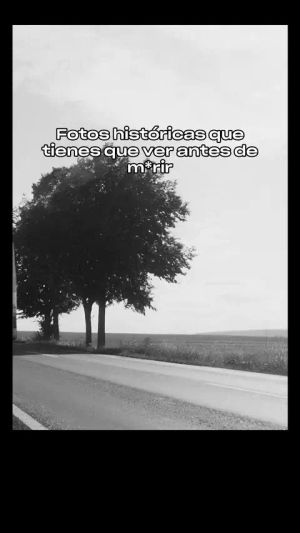 Image post by @primevideolat on TikTok