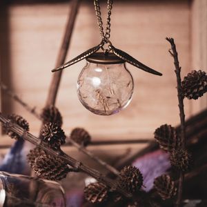Image post by @leafyaffair on Instagram