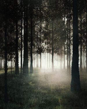 Image post by @heerataak on Instagram