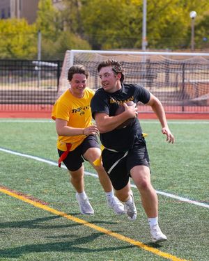 Image post by @mizzouhomecoming on Instagram