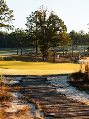 Image post by @matthahnphoto on Instagram