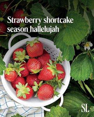 Video post by @southern_living on TikTok