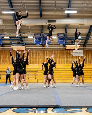 Image post by @turfblur on Instagram