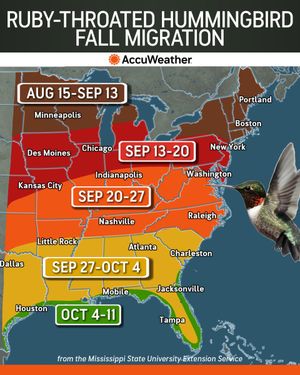 Image post by @accuweather on Twitter