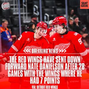 Image post by @redwingscoverage on Instagram