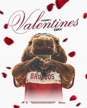 Image post by @scubroncos on Instagram