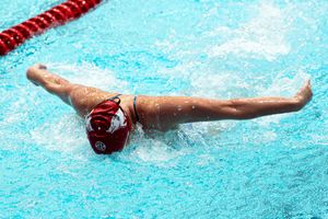 Image post by @razorbackswimdive on Instagram