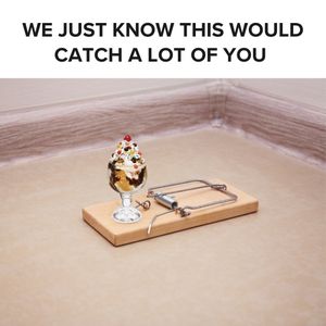 Image post by @friendlys on Instagram