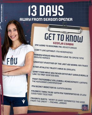 Image post by @FDUKnightsWVB on Twitter