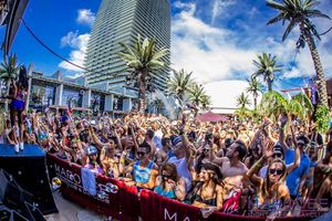Image post by @marqueelv on Instagram
