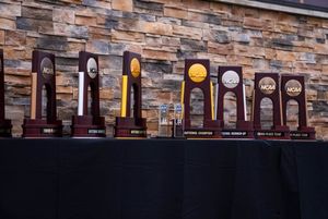 Image post by @GreenWaveXCTF on Twitter