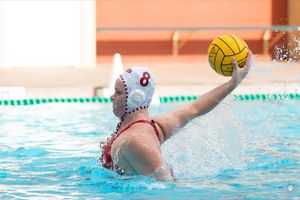 Image post by @IndianaWPolo on Twitter