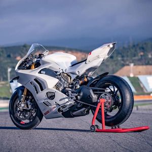 Image post by @panigalers on Instagram