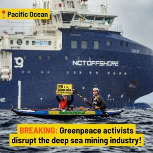 Image post by @greenpeace on Instagram