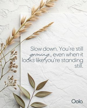 Image post by @oolalife on Instagram