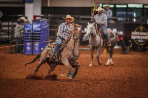 Image post by @teamropingjourn on Instagram