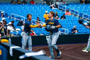 Image post by @WVUBaseball on Twitter