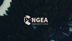Video post by @pangeacollective1 on Facebook
