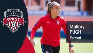 Image post by @WashSpirit on Twitter