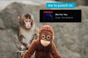 Video post by @amazonmusic on TikTok