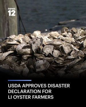 Image post by @news12li on Instagram