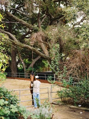 Image post by @stroman on Instagram