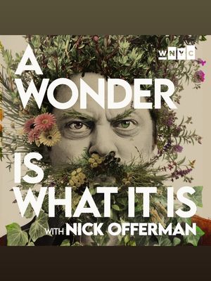Image post by @nickofferman on Instagram