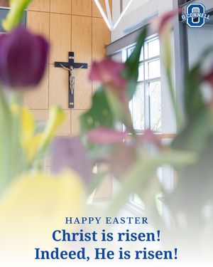 Image post by @oconnellhs on Instagram